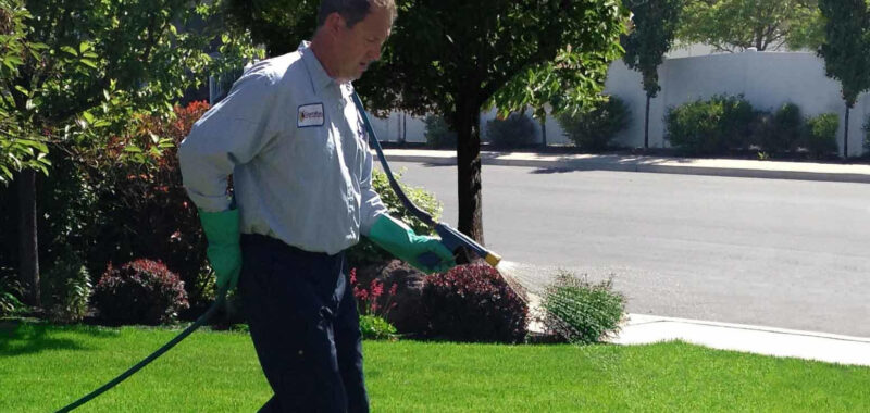 Guardian Lawn Care: Your Partner in Achieving a Lush and Healthy Lawn in Orem, UT