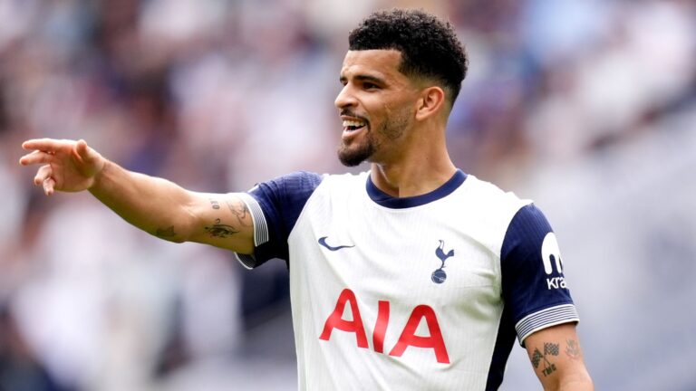 skysports spurs forward dominic solanke 6688962