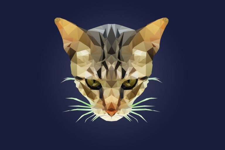 polygonal cat